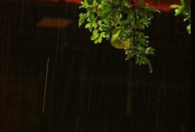 下雨天的美丽与哀愁（缤纷雨丝中的生活与情感）