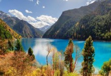 驴妈妈旅游（驴妈妈旅游的发展趋势及影响因素分析）